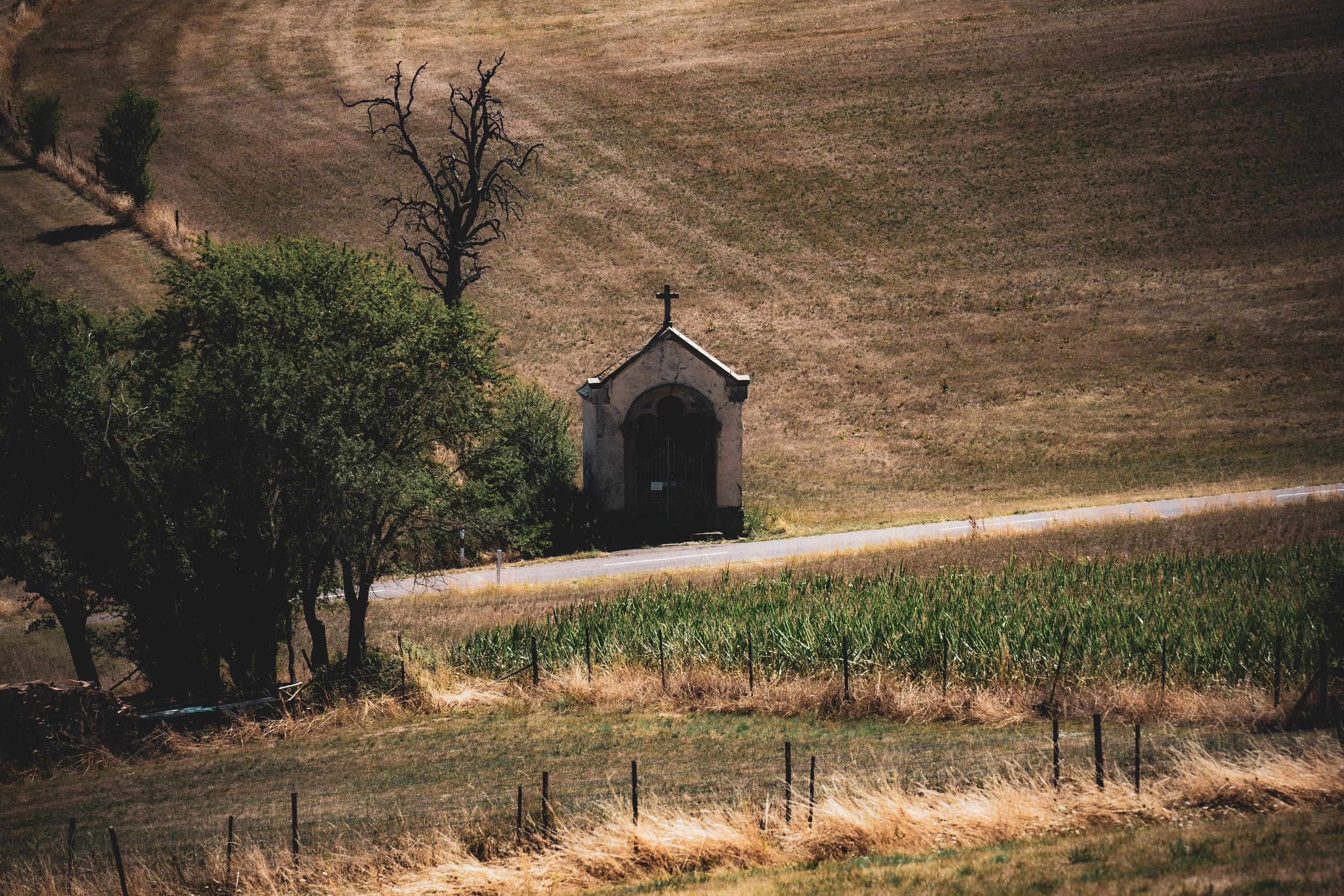 Mullerthal, photo 9 of 15